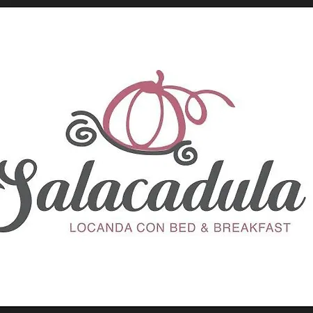 Salacadula 비르길리오